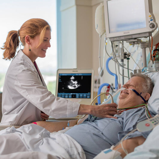 What are the most important Echocardiographic views to acquire in a critical setting?