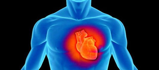 What is a 'Dilated Heart'?