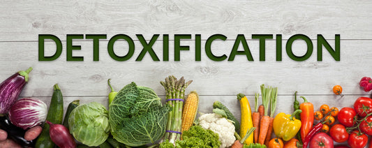 Detoxification | Experts Have A Say