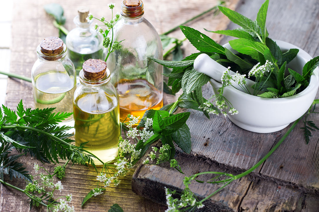 What is Herbal Medicine? | Andrea Beaman